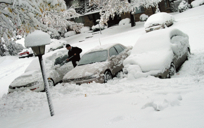 Winter Paintwork Protection